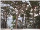 324 Elizabeth Drive, Vincentia NSW 2540