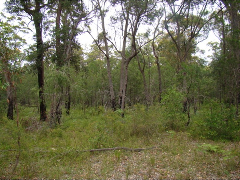 Lot 526 Lusitania Avenue, Basin View NSW 2540
