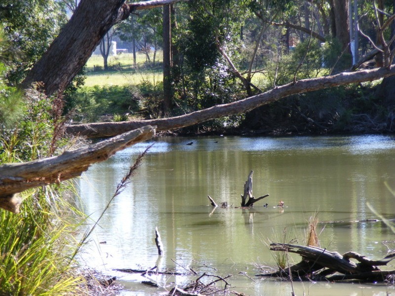 Lot 4 Princes Highway, Wandandian NSW 2540