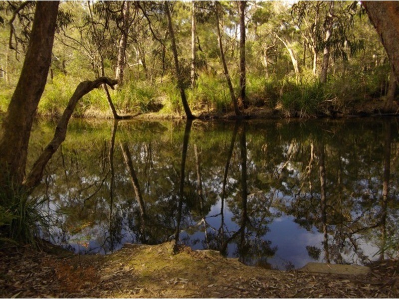 20 McGowen Street, Old Erowal Bay NSW 2540