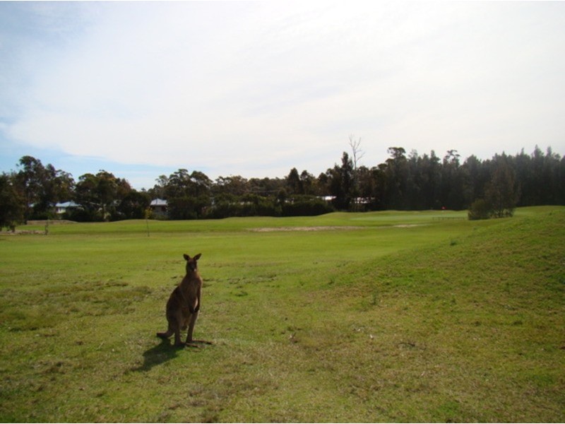161  Larmer  Avenue, Sanctuary Point NSW 2540