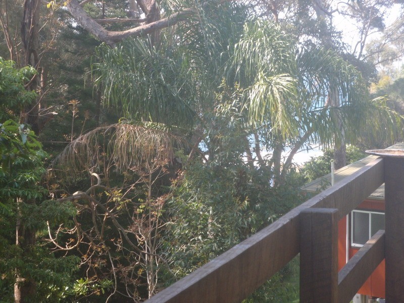 13 Booderee  Avenue, Hyams Beach NSW 2540