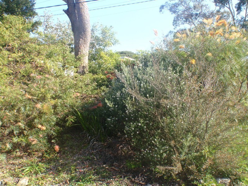 8 Miller  Street, Vincentia NSW 2540