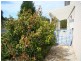 63  Murray  Street, Vincentia NSW 2540