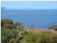 91 Minerva  Avenue, Vincentia NSW 2540