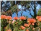 91 Minerva  Avenue, Vincentia NSW 2540