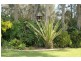171 Walmer Avenue, Sanctuary Point NSW 2540