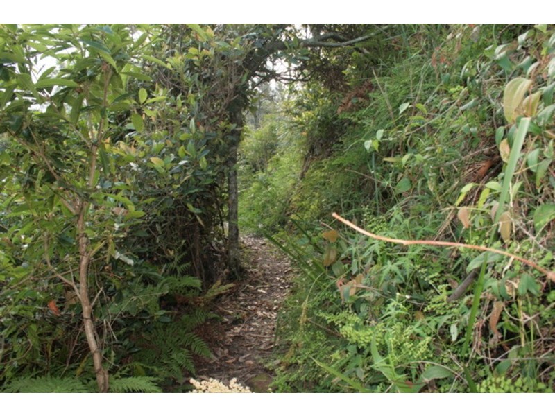 190 Greville  Avenue, Sanctuary Point NSW 2540