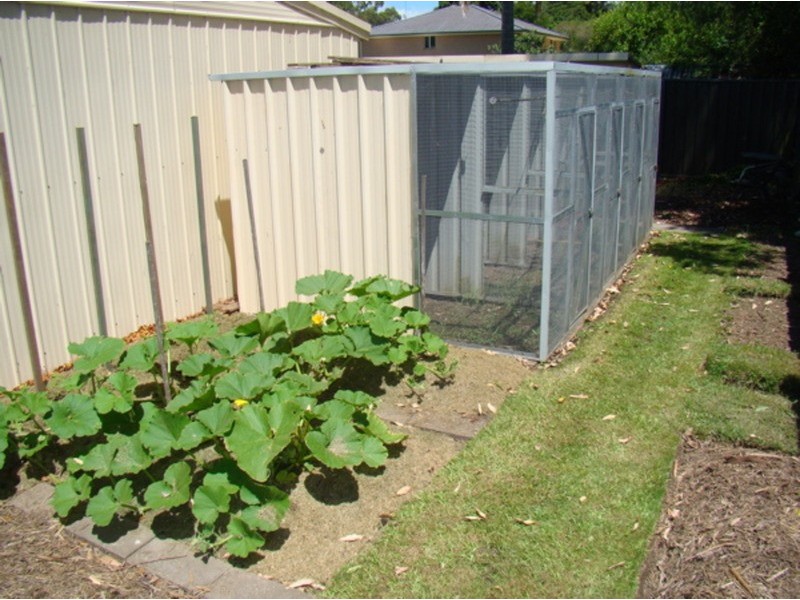 67 Basin View Parade, Basin View NSW 2540