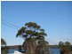 67 Basin View Parade, Basin View NSW 2540