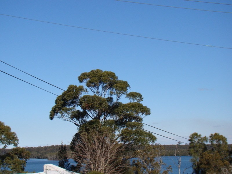 67 Basin View Parade, Basin View NSW 2540