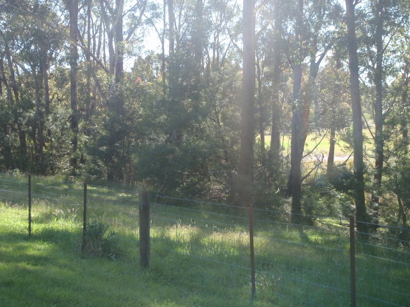 555A Jervis Bay  Road, Woollamia NSW 2540