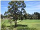 31 Waratah Crescent, Sanctuary Point NSW 2540