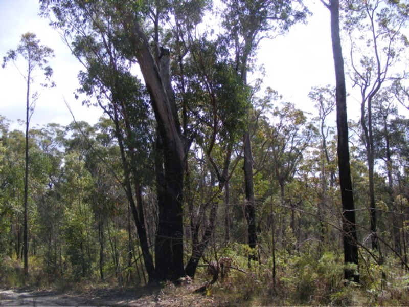 Lot 568 Lusitania  Avenue, Basin View NSW 2540