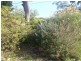 8 Miller  Street, Vincentia NSW 2540