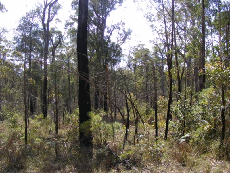 29  Fisherman  Road, St Georges Basin NSW 2540