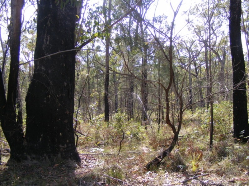 29  Fisherman  Road, St Georges Basin NSW 2540