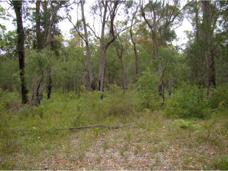 Lot 574 Lusitania  Avenue, Basin View NSW 2540