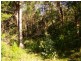 38 Kallaroo Road, Erowal Bay NSW 2540
