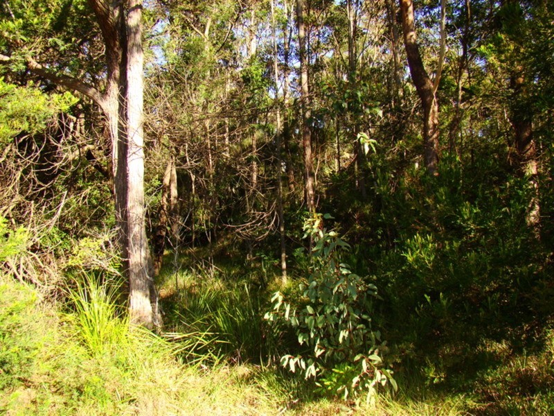 38 Kallaroo Road, Erowal Bay NSW 2540