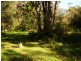 38 Kallaroo Road, Erowal Bay NSW 2540
