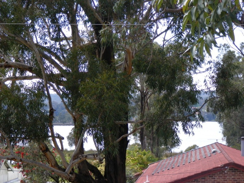 83 Sanctuary Point Road, Sanctuary Point NSW 2540