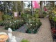 191 Kerry Street, Sanctuary Point NSW 2540