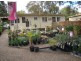 191 Kerry Street, Sanctuary Point NSW 2540