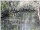 227 The Park Drive, Sanctuary Point NSW 2540