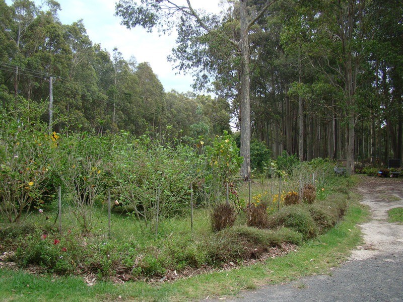 625 Woollamia  Road, Woollamia NSW 2540