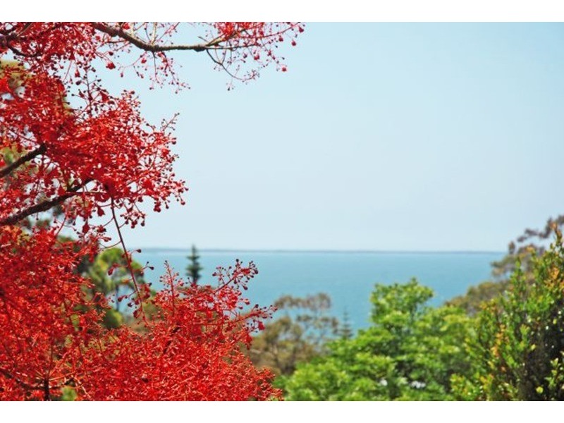 68 Minerva  Avenue, Vincentia NSW 2540