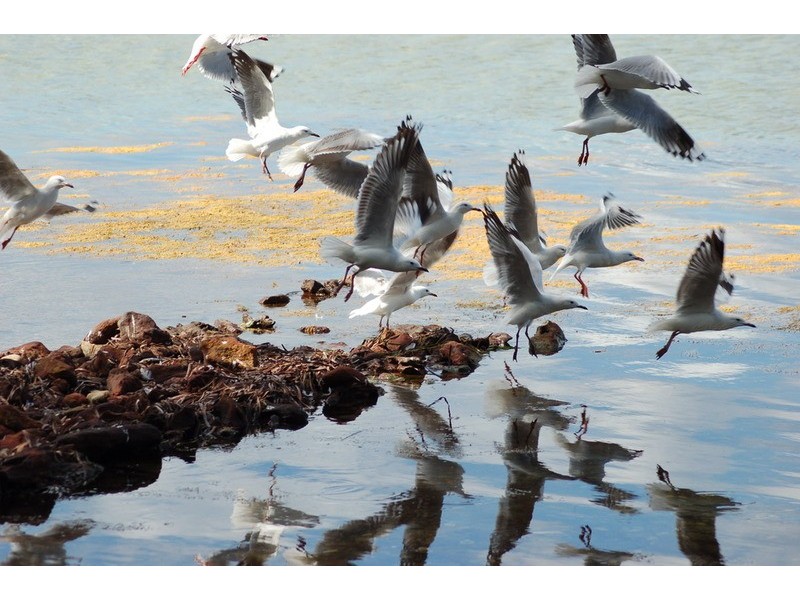 104 Sanctuary Point Road, Sanctuary Point NSW 2540