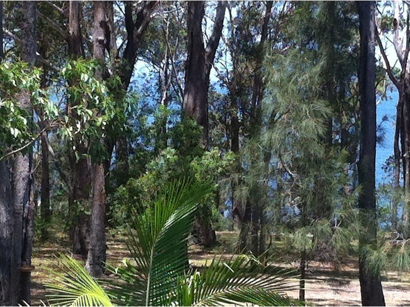 34 Elanora  Parade, Basin View NSW 2540