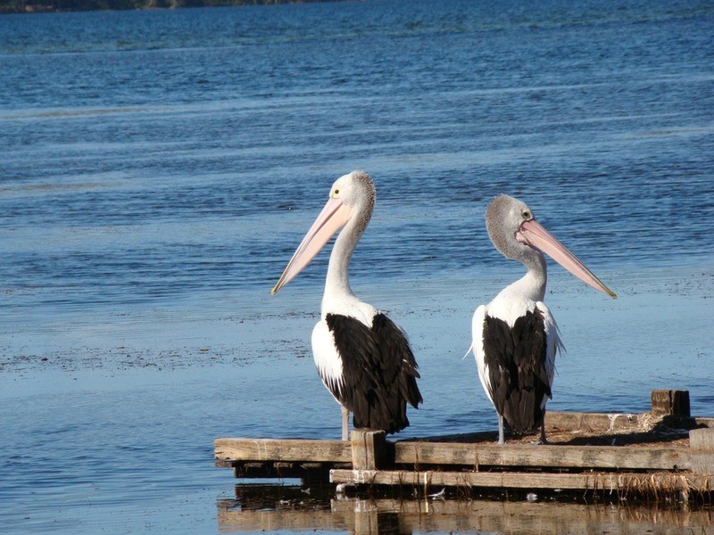 190 Sanctuary Point Road, Sanctuary Point NSW 2540