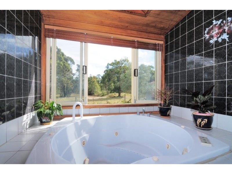 432 Pine Forest  Road, Tomerong NSW 2540