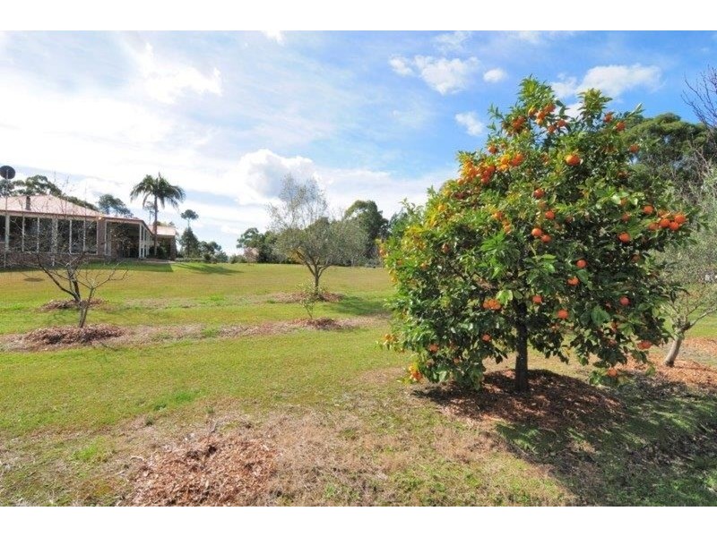 432 Pine Forest  Road, Tomerong NSW 2540