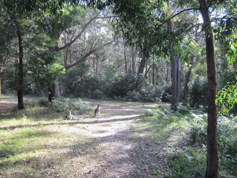 97 The Park Drive, Sanctuary Point NSW 2540
