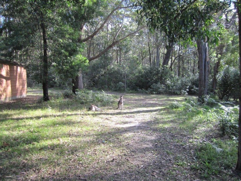 97 The Park Drive, Sanctuary Point NSW 2540