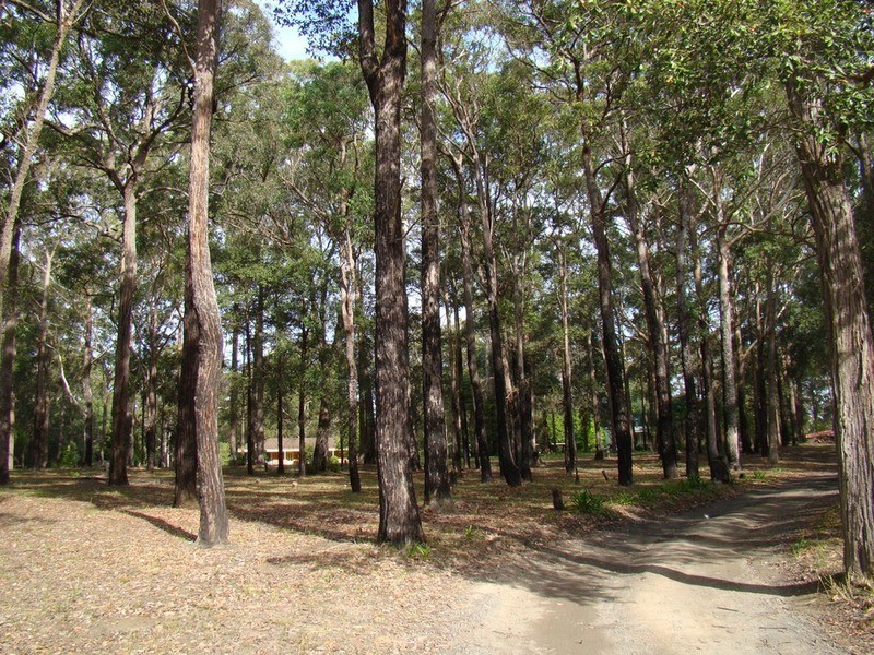 15 Fairfax  Road, Woollamia NSW 2540