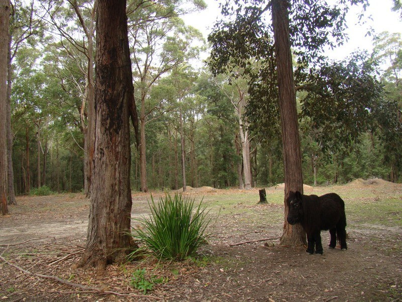 15 Fairfax  Road, Woollamia NSW 2540