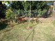 30  Audrey  Avenue, Basin View NSW 2540