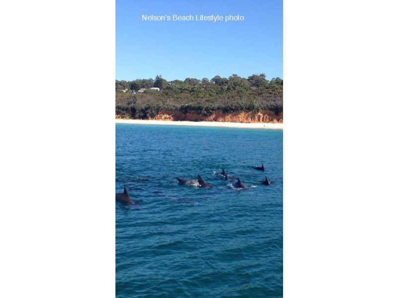 333 Elizabeth  Drive, Vincentia NSW 2540