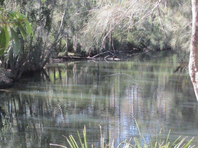 291 The Park Drive, Sanctuary Point NSW 2540