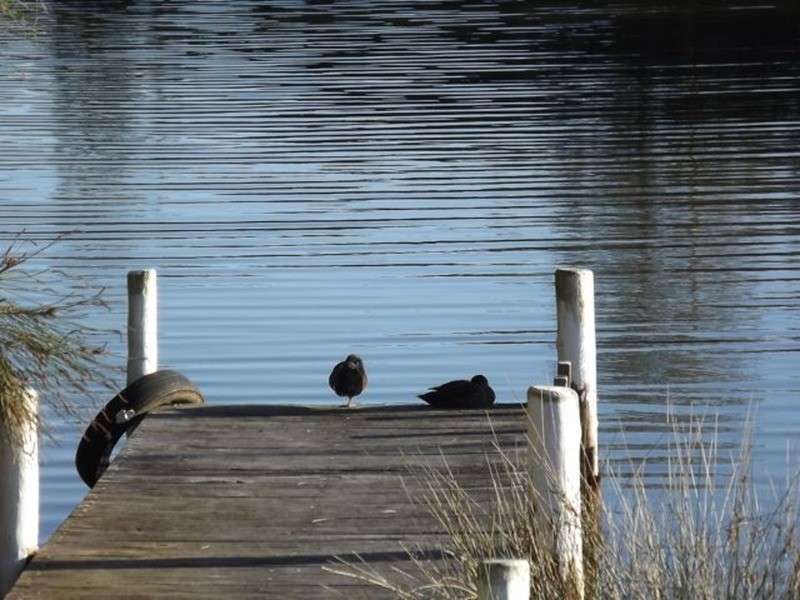 24 Panorama  Road, St Georges Basin NSW 2540