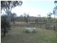 42 Cambourne  Street, Tomerong NSW 2540