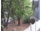 64 Toolga Street, Mount Coolum QLD 4573