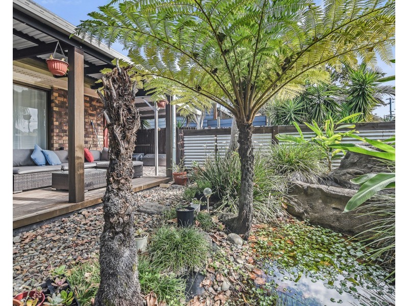 37 Centenary Heights Road, Coolum Beach QLD 4573