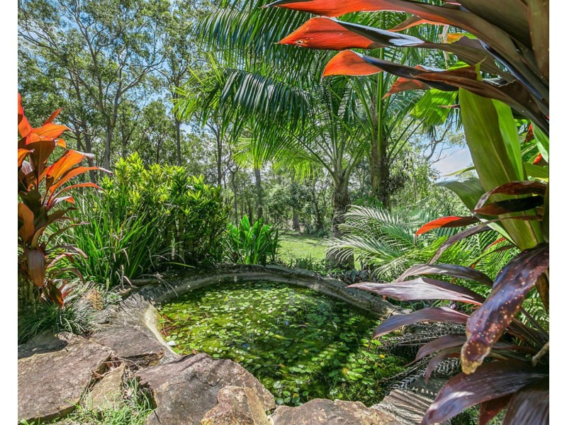 250 Yandina Bli Bli Road, Maroochy River QLD 4561
