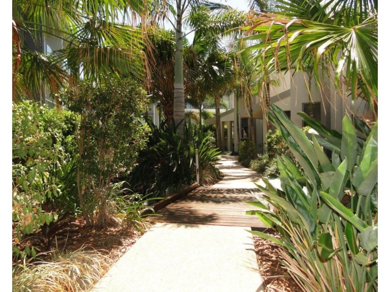 11/1838 David Low Way, Coolum Beach QLD 4573