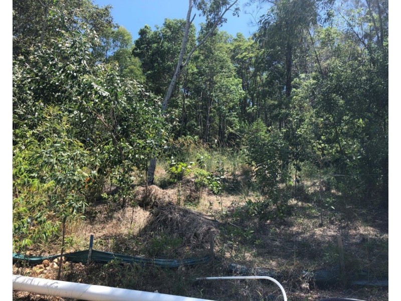 55 Mountain View Drive, Mount Coolum QLD 4573